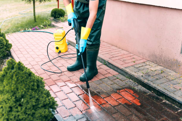 Boat and Dock Cleaning in Oak Grove, MN