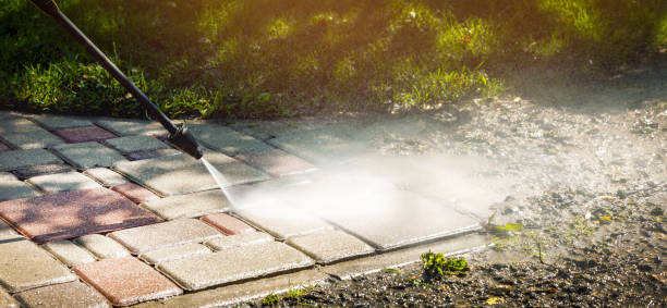 Best Soft Washing  in Oak Grove, MN