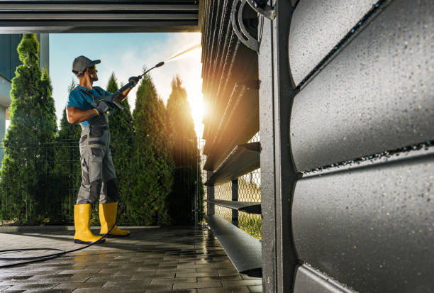Best Building Exterior Washing  in Oak Grove, MN