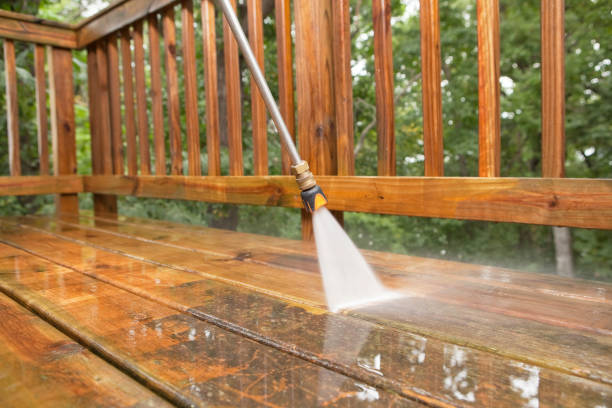 Best Animal Enclosure Cleaning  in Oak Grove, MN
